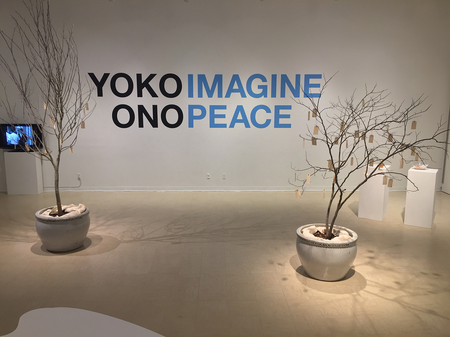 yoko_website image